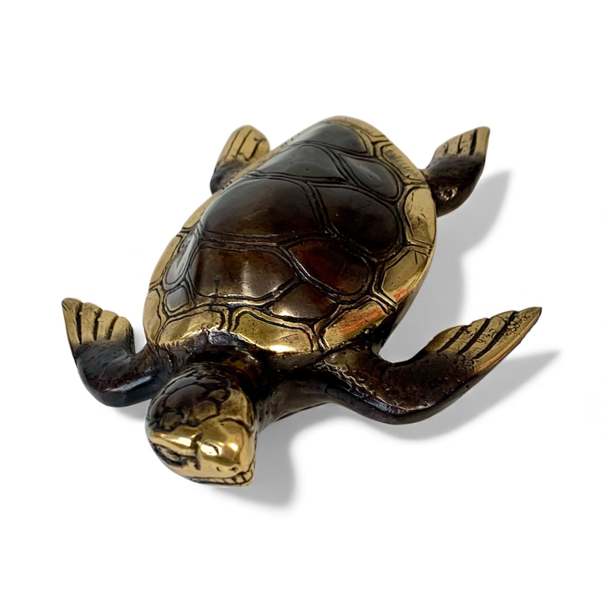 Brass Turtle with gold Detail – mangointeriors.petone