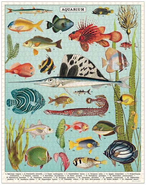1000 piece jigsaw puzzle featuring multiple species of fish.