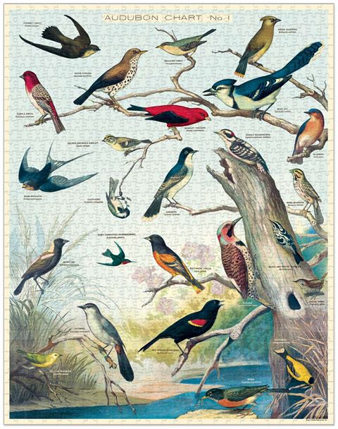 1000 piece jigsaw puzzles featuring multiple species of bird.