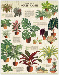 1000 piece jigsaw featuring illustrations and details of multiple house plants.