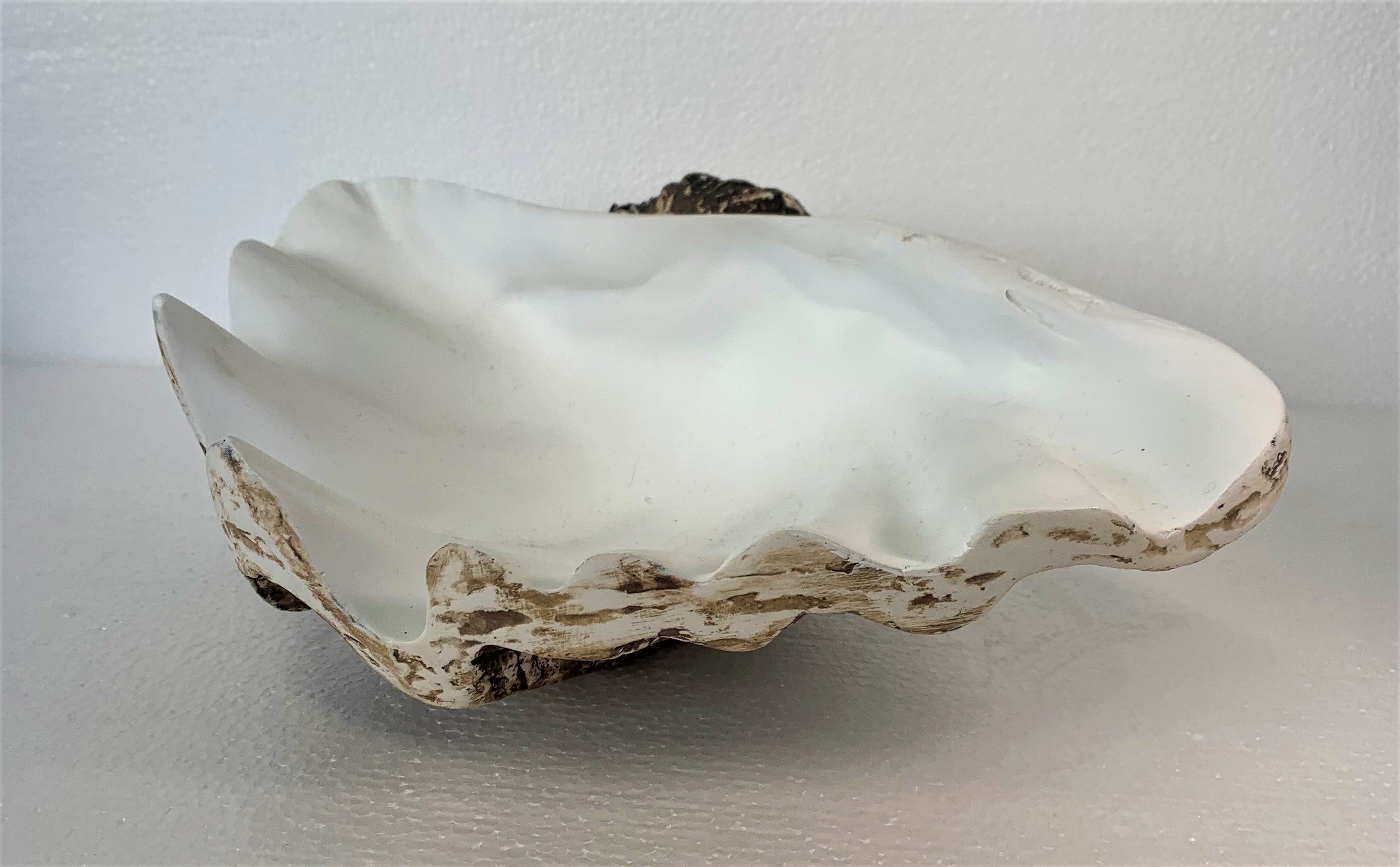 Resin clam shell dish or platter