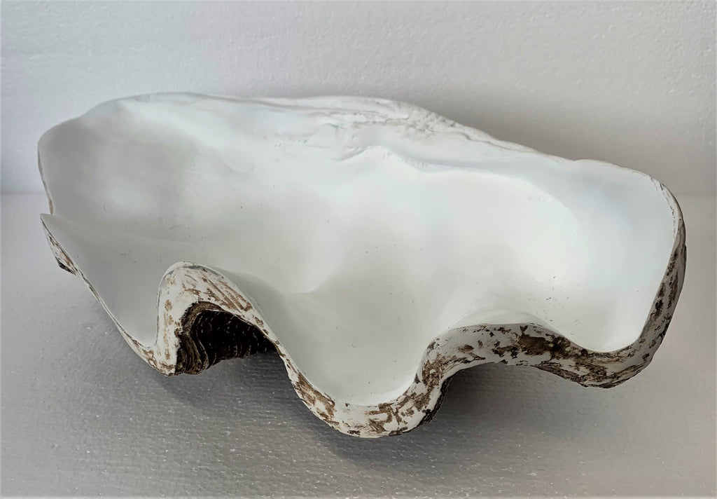 Resin clam shell