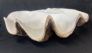 Resin clam shell - large