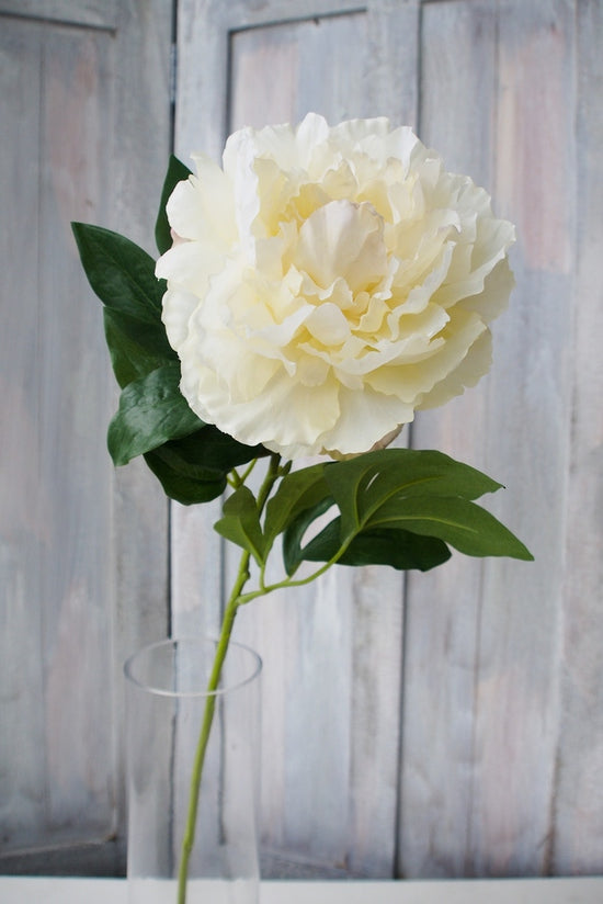 Peony Spray cream