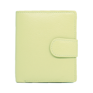 Summer Lime Mini Wallet