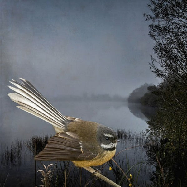 Artprint of fantail bird near a lake.